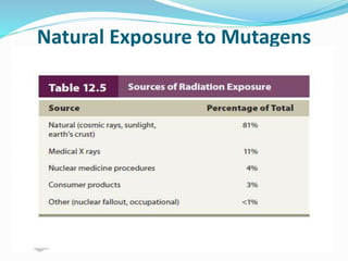 Natural Exposure to Mutagens
 