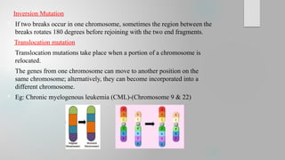 Mutation and it’s types,plants genetics and animal genetics .pptx