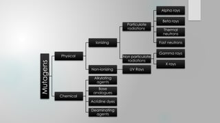 Mutation and it’s types,plants genetics and animal genetics .pptx