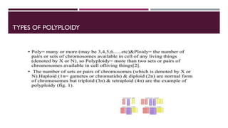 Polyploid Mutations mutation and polyploidy and hybridization by D. Divyabharathi (U21BP014 ...