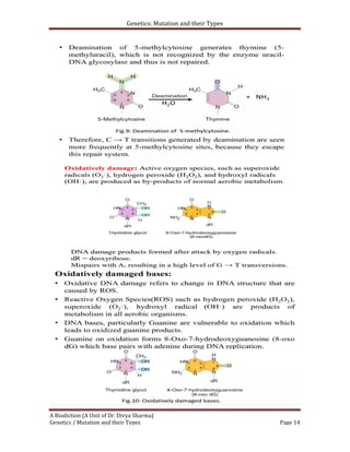 Genetics: Mutation and their Types
A Biodiction (A Unit of Dr. Divya Sharma)
Genetics / Mutation and their Types Page 14
 