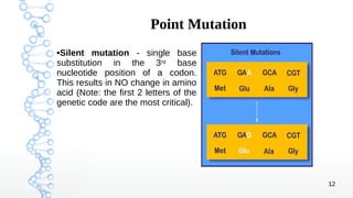 Mutation Full Note Mutation and Assay of Mutagenesis | PDF