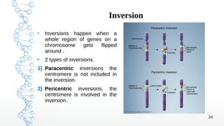 Mutation and Assay of Mutagenesis | PDF