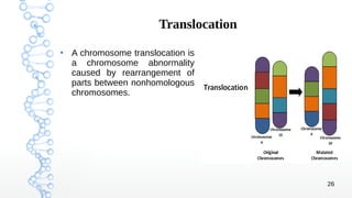 Mutation and Assay of Mutagenesis | PDF