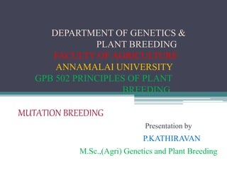 DEPARTMENT OF GENETICS &
PLANT BREEDING
FACULTY OF AGRICULTURE
ANNAMALAI UNIVERSITY
GPB 502 PRINCIPLES OF PLANT
BREEDING
MUTATION BREEDING
Presentation by
P.KATHIRAVAN
M.Sc.,(Agri) Genetics and Plant Breeding
 
