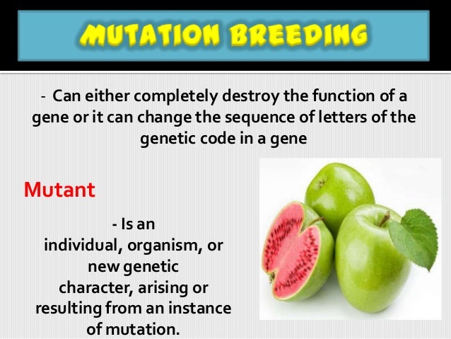Mutation Breeding Examples A Review On Overview Role Of Mutation In Plant Breeding – VJIPHE