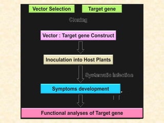 Mutation breeding | PPTX | Genetics | Science