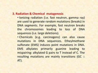 Mutation breeding | PPTX