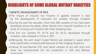 HIGHLIGHTS OF SOME GLOBAL MUTANT VARIETIES
1 GENETIC ENHANCEMENT OF RICE
The impact of induced rice mutants in applied research is best
by the development of improved rice varieties through mutation
During the past five decades, more than 800 varieties of rice have been
developed across the globe, either directly from induced mutations or as
result of crossing such mutants with other breeding lines.
The first rice varieties KT 20-74 and SH 30-21, developed through
mutation, were released in China in 1957
Afterwards, the semi dwarf mutant Reimei was released in Japan which
have significantly increased yield because of their lodging resistance.
Calrose 76 and Basmati 370, semi dwarf varieties of rice with short and
straw has revolutionized the rice production in USA and Pakistan
 