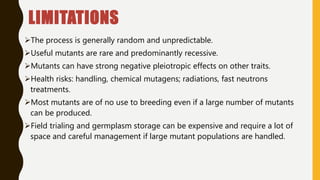 LIMITATIONS
The process is generally random and unpredictable.
Useful mutants are rare and predominantly recessive.
Mutants can have strong negative pleiotropic effects on other traits.
Health risks: handling, chemical mutagens; radiations, fast neutrons
treatments.
Most mutants are of no use to breeding even if a large number of mutants
can be produced.
Field trialing and germplasm storage can be expensive and require a lot of
space and careful management if large mutant populations are handled.
 
