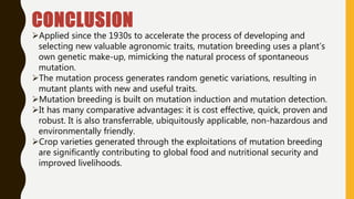 CONCLUSION
Applied since the 1930s to accelerate the process of developing and
selecting new valuable agronomic traits, mutation breeding uses a plant’s
own genetic make-up, mimicking the natural process of spontaneous
mutation.
The mutation process generates random genetic variations, resulting in
mutant plants with new and useful traits.
Mutation breeding is built on mutation induction and mutation detection.
It has many comparative advantages: it is cost effective, quick, proven and
robust. It is also transferrable, ubiquitously applicable, non-hazardous and
environmentally friendly.
Crop varieties generated through the exploitations of mutation breeding
are significantly contributing to global food and nutritional security and
improved livelihoods.
 