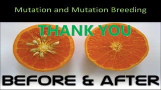 Mutation breeding in Plants