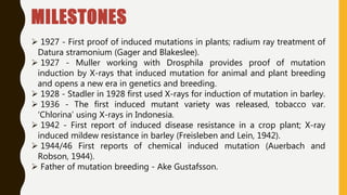 MILESTONES
 1927 - First proof of induced mutations in plants; radium ray treatment of
Datura stramonium (Gager and Blakeslee).
 1927 - Muller working with Drosphila provides proof of mutation
induction by X-rays that induced mutation for animal and plant breeding
and opens a new era in genetics and breeding.
 1928 - Stadler in 1928 first used X-rays for induction of mutation in barley.
 1936 - The first induced mutant variety was released, tobacco var.
‘Chlorina’ using X-rays in Indonesia.
 1942 - First report of induced disease resistance in a crop plant; X-ray
induced mildew resistance in barley (Freisleben and Lein, 1942).
 1944/46 First reports of chemical induced mutation (Auerbach and
Robson, 1944).
 Father of mutation breeding - Ake Gustafsson.
 