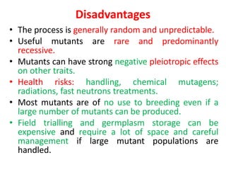 Disadvantages
• The process is generally random and unpredictable.
• Useful mutants are rare and predominantly
recessive.
• Mutants can have strong negative pleiotropic effects
on other traits.
• Health risks: handling, chemical mutagens;
radiations, fast neutrons treatments.
• Most mutants are of no use to breeding even if a
large number of mutants can be produced.
• Field trialling and germplasm storage can be
expensive and require a lot of space and careful
management if large mutant populations are
handled.
 