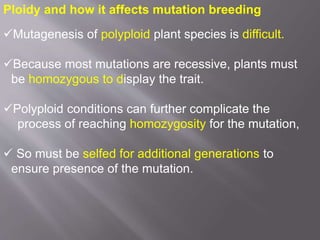 Ploidy and how it affects mutation breeding
Mutagenesis of polyploid plant species is difficult.
Because most mutations are recessive, plants must
be homozygous to display the trait.
Polyploid conditions can further complicate the
process of reaching homozygosity for the mutation,
 So must be selfed for additional generations to
ensure presence of the mutation.
 