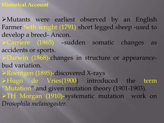 Historical Account
Mutants were earliest observed by an English
Farmer Seth wright (1791) short legged sheep -used to
develop a breed- Ancon.
Carriere (1865) –sudden somatic changes as
accidents or sports.
Darwin (1868)-changes in structure or appearance-
bud variation.
Roentgen (1895)-discovered X-rays
Hugo de Vries(1900) introduced the term
“Mutation” and given mutation theory (1901-1903).
TH Morgan (1910)-systematic mutation work on
Drosophila melanogaster.
 