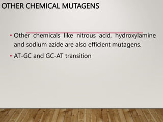 OTHER CHEMICAL MUTAGENS
• Other chemicals like nitrous acid, hydroxylamine
and sodium azide are also efficient mutagens.
• AT-GC and GC-AT transition
 