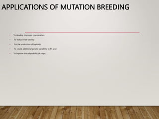 APPLICATIONS OF MUTATION BREEDING
• To develop improved crop varieties
• To induce male sterility
• For the production of haploids
• To create additional genetic variability in F1, and
• To improve the adaptability of crops.
 