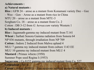 Achievements :
a) Natural mutants :
Rice : GFB 24 – arose as a mutant from Konamani variety Dee – Gee
– Woo – Gen – Arose as a mutant from rice in China
MTU 20 – arose as a mutant from MTU-3
Sorghum Co. 18 – arose as a mutant from Co. 2
Cotton : DB 3-12 from G. heroaccum variety Western 1
b) Induced mutants :
Rice : Jagannath-gamma ray induced mutant from T.141
Wheat : Sarbati Sonora Gamma radiation from Sonora 64
NP 836 mutants, through irradiation from NP 709
Cotton : Indore 2 Induced from Malwa upland 4
MLU 7 gamma ray induced mutant from culture 1143 EE
MLU 10 gamma ray induced mutant from MLU 4
Mustard : Primax whicte (1950)
Summer Pope seed Regina I (1953)
Sugarcane : Co.8152 gamma ray induced mutant from Co. 527
Groundnut : NC 4
Castor : Aruna (NPH1) – Fast neutrons induced mutant from HC 6
 