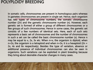POLYPLOIDY BREEDING
In somatic cells, chromosomes are present in homologous pairs whereas
in gametes chromosomes are present in single set. Hence, each organism
has two types of chromosome numbers, the somatic chromosome
number (2n) and the gametic chromosome number (n). However, each
genetic set is formed of either a group of different chromosomes or a
few groups of such chromosomes. Hence in some cases, the gametic set
consists of a few numbers of identical sets. Here, each of such sets
represents a basic set of chromosomes and the number of chromosomes
in such a set can be called the basic chromosome number (x). Hence n
may be equal to x, 2x, 3x etc. When n=x, the organism is diploid, when
n=2x, the organism is a tetraploid and when n=3x, it is a hexaploid (2n =
2x, 4x and 6x respectively). Besides the type of variation, absence or
additional presence of individual chromosomes can also be seen in
organisms. Such variations can be exploited in plant breeding because
they bring about desirable character changes in many cases.
 
