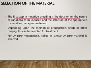 SELECTION OF THE MATERIAL
• The first step in mutation breeding is the decision on the nature
of variations to be induced and the selection of the appropriate
material for mutagen treatment.
• Depending upon the method of propagation, seeds or other
propagules can be selected for treatment.
• For in vitro mutagenesis, callus or similar in vitro material is
selected.
 