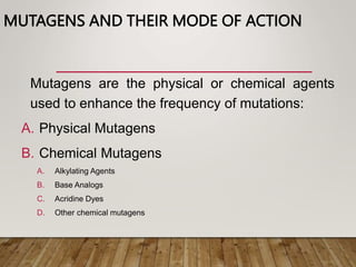 MUTAGENS AND THEIR MODE OF ACTION
Mutagens are the physical or chemical agents
used to enhance the frequency of mutations:
A. Physical Mutagens
B. Chemical Mutagens
A. Alkylating Agents
B. Base Analogs
C. Acridine Dyes
D. Other chemical mutagens
 