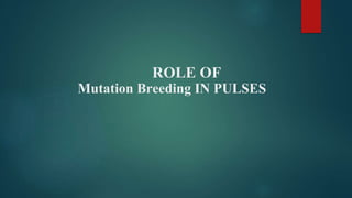 ROLE OF
Mutation Breeding IN PULSES
 
