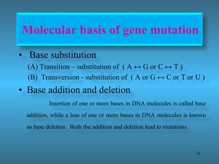 Mutation breeding in groundnut | PPTX