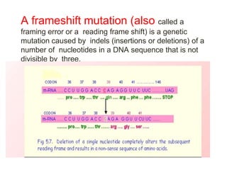 Mutation bsc | PPTX