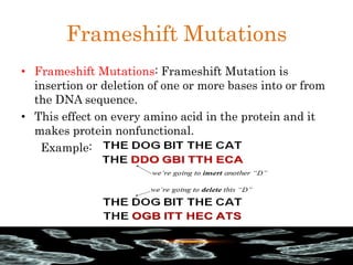 Frameshift Mutations
• Frameshift Mutations: Frameshift Mutation is
insertion or deletion of one or more bases into or from
the DNA sequence.
• This effect on every amino acid in the protein and it
makes protein nonfunctional.
Example:
 