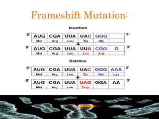 Frameshift Mutation:
 