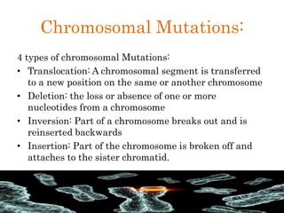 Chromosomal Mutations:
4 types of chromosomal Mutations:
• Translocation: A chromosomal segment is transferred
to a new position on the same or another chromosome
• Deletion: the loss or absence of one or more
nucleotides from a chromosome
• Inversion: Part of a chromosome breaks out and is
reinserted backwards
• Insertion: Part of the chromosome is broken off and
attaches to the sister chromatid.
 