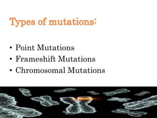 Types of mutations:
• Point Mutations
• Frameshift Mutations
• Chromosomal Mutations
 