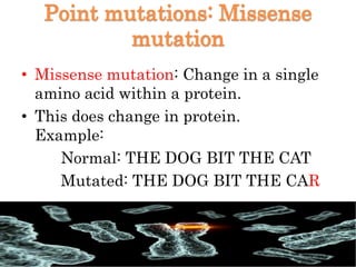 Point mutations: Missense
mutation
• Missense mutation: Change in a single
amino acid within a protein.
• This does change in protein.
Example:
Normal: THE DOG BIT THE CAT
Mutated: THE DOG BIT THE CAR
 
