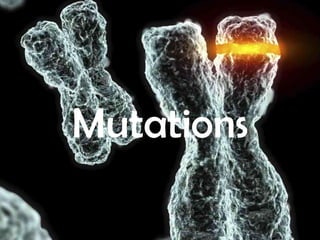 Mutations
 