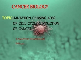 CANCER BIOLOGY
TOPIC: MUTATION CAUSING LOSS
OF CELL CYCLE & INDUCTION
OF CANCER
T.ANANTHA THAMIZHAN
BMS14312
 