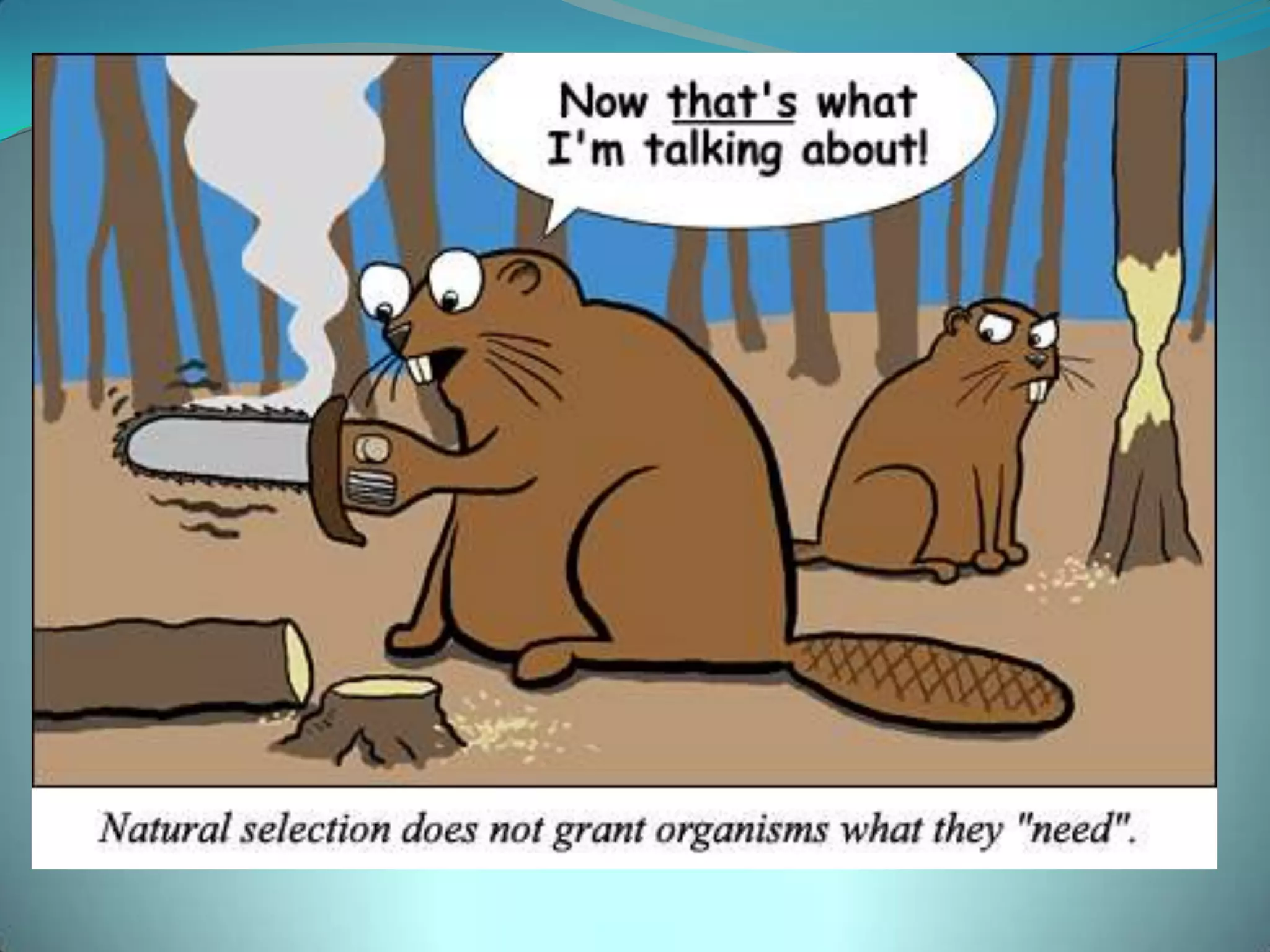 How does Evolution Work?Natural Selection- survival of the fittest. Natural selection is simply the logical result of four features of living systems: variation- individuals in a population vary from one another  (different genes caused by mutations)inheritance - parents pass on their traits to their offspring genetically selection - some variants reproduce more than others time - successful variations accumulate over many generations 