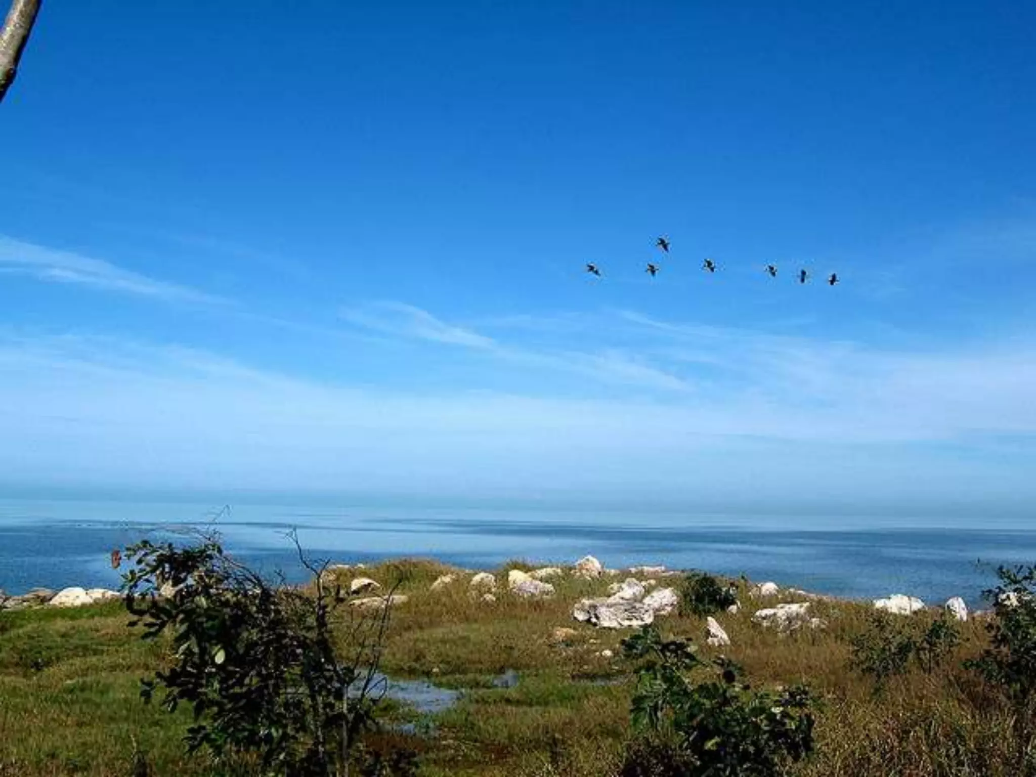 What could cause  all the variety?http://www.youtube.com/watch?v=sCEeefdaRcw