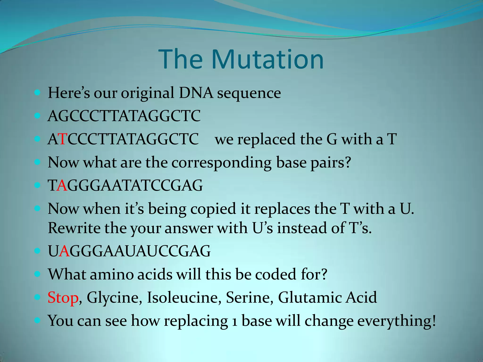 The Mutation Here’s our original DNA sequenceAGCCCTTATAGGCTCATCCCTTATAGGCTC    we replaced the G with a TNow what are the corresponding base pairs?TAGGGAATATCCGAGNow when it’s being copied it replaces the T with a U. Rewrite the your answer with U’s instead of T’s.UAGGGAAUAUCCGAGWhat amino acids will this be coded for?Stop, Glycine, Isoleucine, Serine, Glutamic Acid You can see how replacing 1 base will change everything!