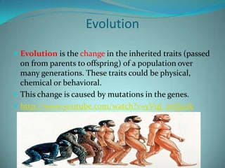Mutation, Evolution, and Natural Selection | PPTX