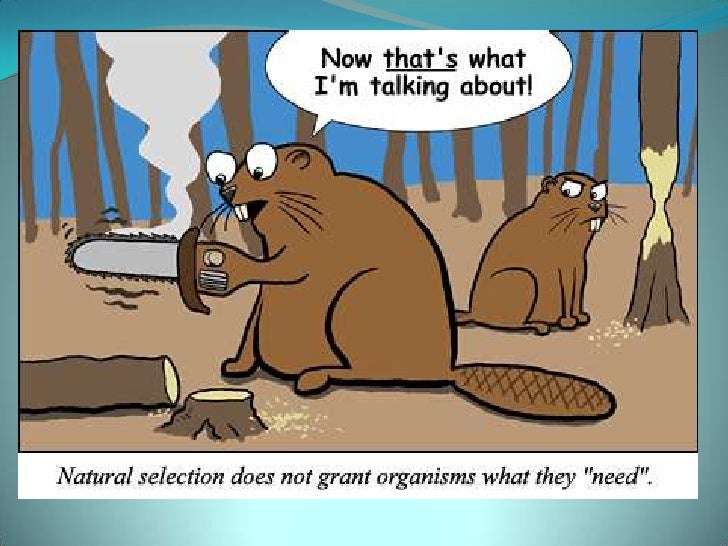 Another Term For Natural Selection Another Term For Natural Selection