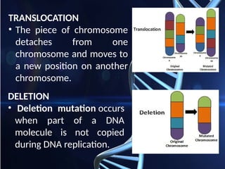 MUTATION, Genetic Disorders, Human Karyotyping, and Genetic Engineering ...
