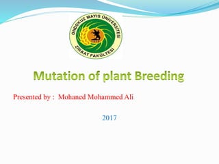 Presented by : Mohaned Mohammed Ali
2017
 