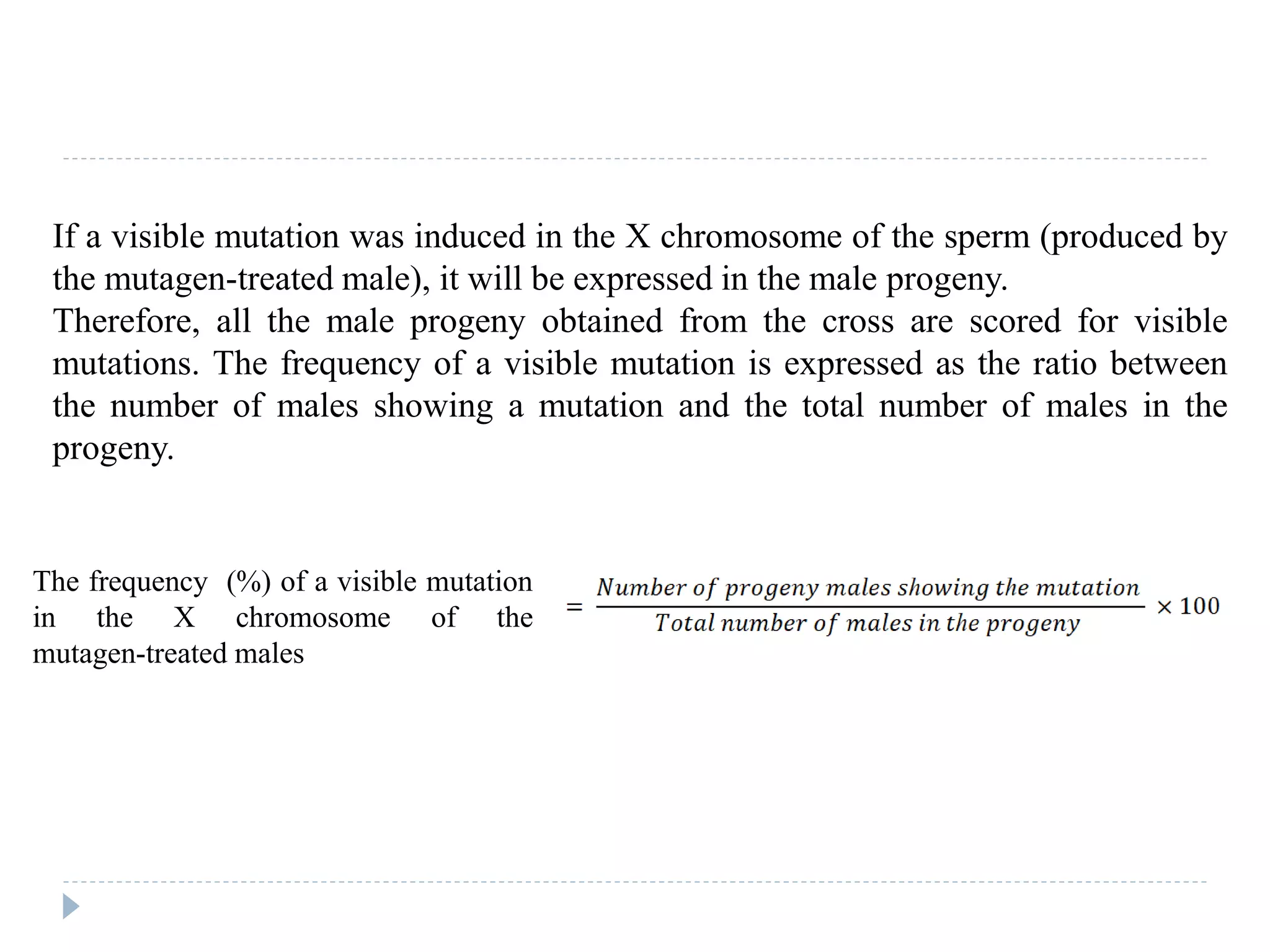 The frequency (%) of a visible mutation
in the X chromosome of the
mutagen-treated males
If a visible mutation was induced in the X chromosome of the sperm (produced by
the mutagen-treated male), it will be expressed in the male progeny.
Therefore, all the male progeny obtained from the cross are scored for visible
mutations. The frequency of a visible mutation is expressed as the ratio between
the number of males showing a mutation and the total number of males in the
progeny.
 