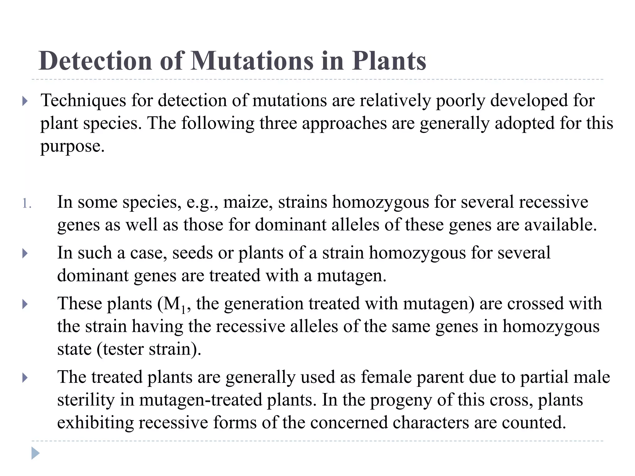 Detection of Mutations in Plants
 Techniques for detection of mutations are relatively poorly developed for
plant species. The following three approaches are generally adopted for this
purpose.
1. In some species, e.g., maize, strains homozygous for several recessive
genes as well as those for dominant alleles of these genes are available.
 In such a case, seeds or plants of a strain homozygous for several
dominant genes are treated with a mutagen.
 These plants (M1, the generation treated with mutagen) are crossed with
the strain having the recessive alleles of the same genes in homozygous
state (tester strain).
 The treated plants are generally used as female parent due to partial male
sterility in mutagen-treated plants. In the progeny of this cross, plants
exhibiting recessive forms of the concerned characters are counted.
 