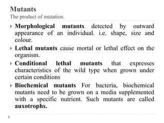 Mutants
The product of mutation.
 Morphological mutants detected by outward
appearance of an individual. i.e. shape, size and
colour.
 Lethal mutants cause mortal or lethal effect on the
organism.
 Conditional lethal mutants that expresses
characteristics of the wild type when grown under
certain conditions
 Biochemical mutants For bacteria, biochemical
mutants need to be grown on a media supplemented
with a specific nutrient. Such mutants are called
auxotrophs.
 