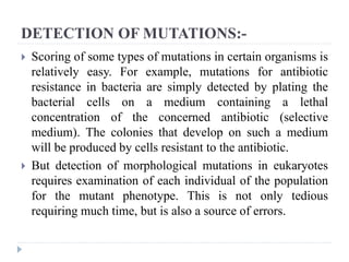 DETECTION OF MUTATIONS:-
 Scoring of some types of mutations in certain organisms is
relatively easy. For example, mutations for antibiotic
resistance in bacteria are simply detected by plating the
bacterial cells on a medium containing a lethal
concentration of the concerned antibiotic (selective
medium). The colonies that develop on such a medium
will be produced by cells resistant to the antibiotic.
 But detection of morphological mutations in eukaryotes
requires examination of each individual of the population
for the mutant phenotype. This is not only tedious
requiring much time, but is also a source of errors.
 