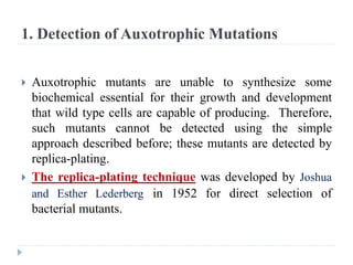 1. Detection of Auxotrophic Mutations
 Auxotrophic mutants are unable to synthesize some
biochemical essential for their growth and development
that wild type cells are capable of producing. Therefore,
such mutants cannot be detected using the simple
approach described before; these mutants are detected by
replica-plating.
 The replica-plating technique was developed by Joshua
and Esther Lederberg in 1952 for direct selection of
bacterial mutants.
 