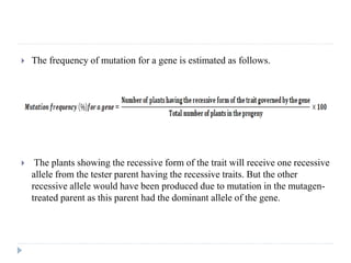  The frequency of mutation for a gene is estimated as follows.
 The plants showing the recessive form of the trait will receive one recessive
allele from the tester parent having the recessive traits. But the other
recessive allele would have been produced due to mutation in the mutagen-
treated parent as this parent had the dominant allele of the gene.
 
