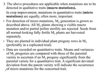 3. The above procedures are applicable when mutations are to be
detected in qualitative traits (macro mutations).
In crop improvement, mutations in quantitative traits (micro
mutations) are equally, often more, important.
 For detection of micro mutations, M2 generation is grown as
described above. All M2 plants showing a visible macro
mutation and/or partial pollen sterility are rejected. Seeds from
all normal-looking fully fertile M2 plants are harvested
separately.
 They are planted in individual plant progeny rows in M3
(preferably in a replicated trial).
 Data are recorded on quantitative traits. Means and variances
of M3 progenies are compared with those of the parental
variety to ascertain if an M3 progeny significantly from the
parental variety for a quantitative trait. A significant deviated
deviation from the parent variety will indicate the occurrence
of micro mutations for the concerned trait.
 